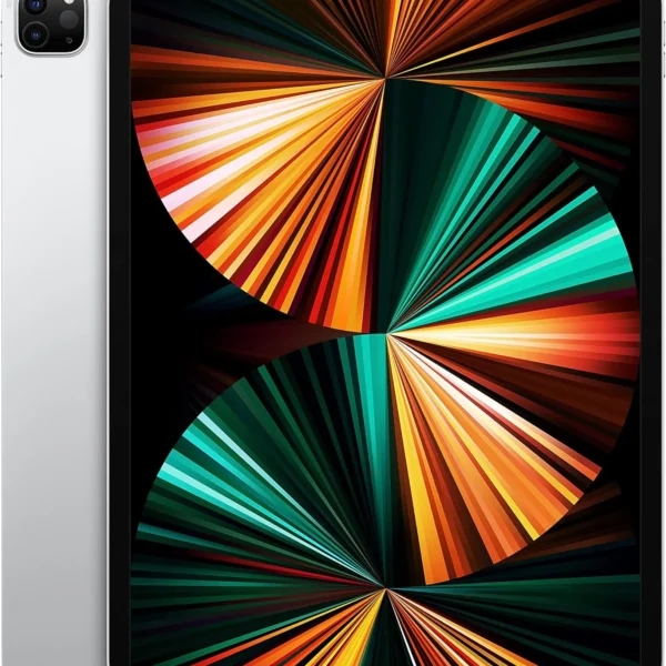 IPad Pro 11-inch 2nd Gen WiFi & Cellular Space Gray 1TB